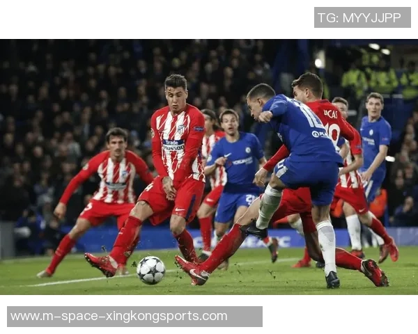 阿尔克马尔主场迎战芬洛力争三分争夺联赛荣耀